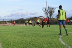 New Football Turf for Employees_10