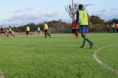 New Football Turf for Employees_11